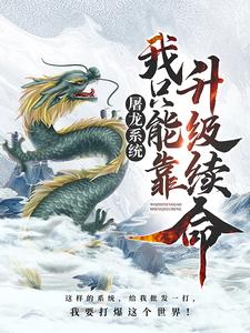 《宁奇张天宁龙》小说