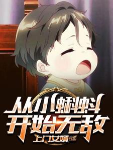 《江辰》小说
