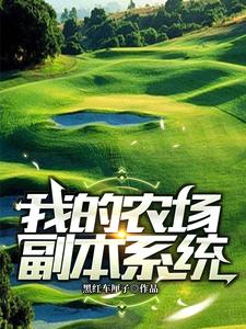 《叶阳李福旺》小说