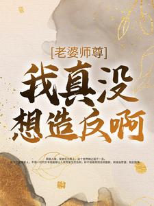 《王轩林清寒》小说