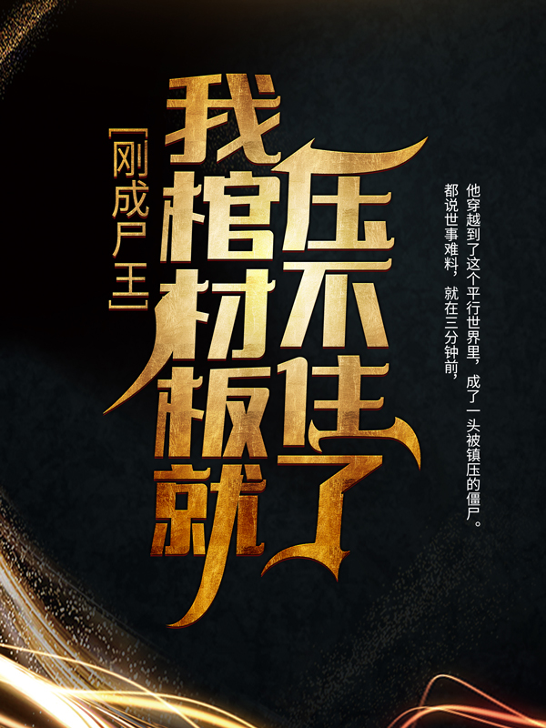 《任锋》小说