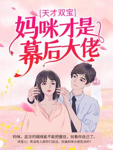 《天才双宝：妈咪才是幕后大佬沐宝儿沐小晗沐小澈警察》沐宝儿沐小晗沐小澈警察