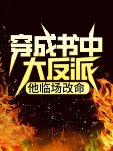 《穿成书中大反派，他临场改命》陆承李叶柳宁雪柳家