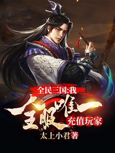 《全民三国：我，全服唯一充值玩家》李宇峰