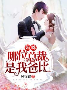 《妈咪，哪位总裁是我爸比》陆宁溪柳菲仪