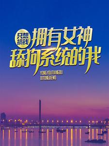 《拥有女神舔狗系统的我，只想搞钱》叶天明