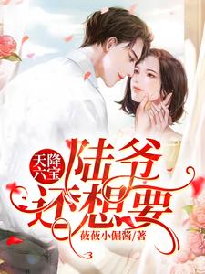 《天降六宝，陆爷还想要！宁苒陆霆渊》宁苒陆霆渊
