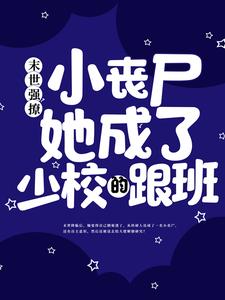 《陆焱沐棠》小说