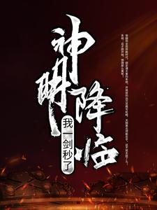 《宁灿》小说