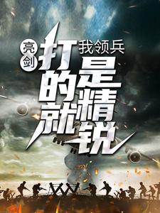 《李云龙张合陈旅长》小说