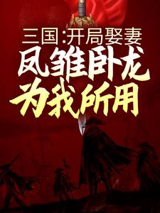 《蔡琰刘琦蔡邕卫仲道》小说