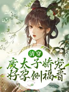 《罗敏元卿李嬷嬷觉罗氏》小说