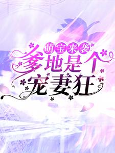《萌宝来袭，爹地是个宠妻狂沐卿叶杭沐雨寒》沐卿叶杭沐雨寒