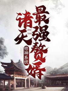 《林羽林琅天君傲天君怡冰》小说