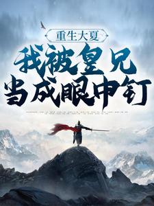 《重生大夏，我被皇兄当成眼中钉周彻甄氏皇甫韵钱枫》周彻甄氏皇甫韵钱枫