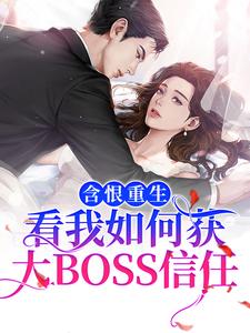 《权御景洛乔黎齐》小说