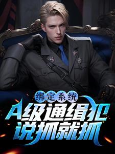 《绑定系统：A级通缉犯说抓就抓谢平宋博南明胖子》谢平宋博南明胖子