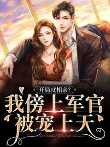 《齐糖齐丰收齐红糖齐宏钢》小说