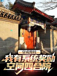 《穿成傻柱，我有系统奖励空间四合院》何辰东何雨柱何雨水何大清