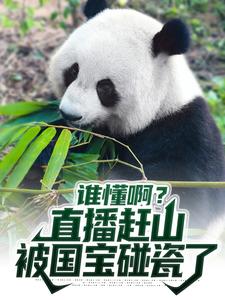 《谁懂啊？直播赶山被国宝碰瓷了陈北陈海宋之问》陈北陈海宋之问