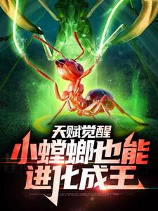 《苏晨》小说