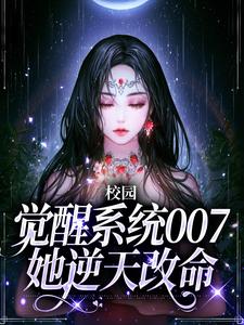 《叶舒周柏寻叶文周盛》小说