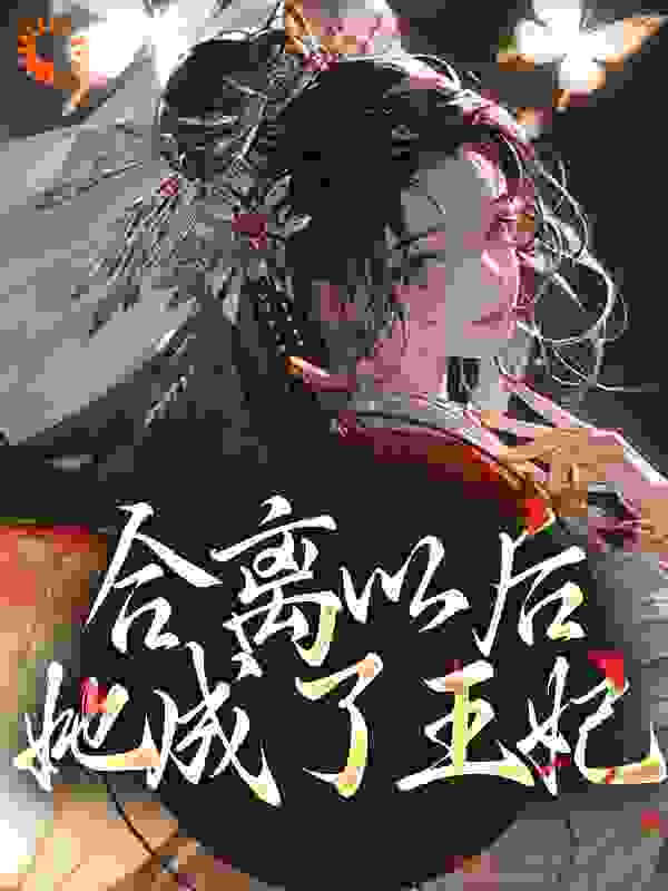《合离以后，她成了王妃》陆鸣花舒李巧娘陆老夫人