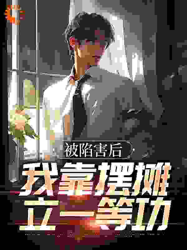 《被陷害后，我靠摆摊立一等功林贤安馨王晓雪何以笙》林贤安馨王晓雪何以笙