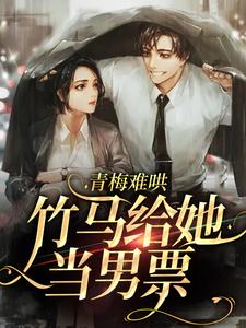 《季衍风苏问姽林渊哲晨明》小说
