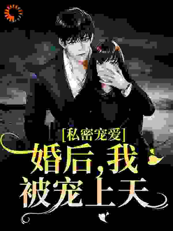 《沈诗商陆骁倪南江婠婠》小说