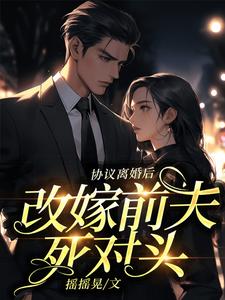 《协议离婚后，改嫁前夫死对头傅慎言宋南栀沈夏》傅慎言宋南栀沈夏