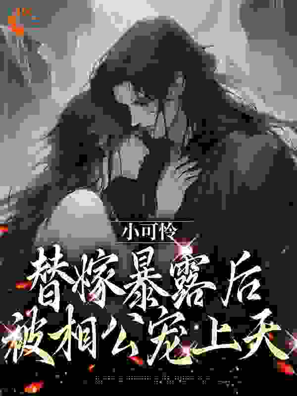《小可怜替嫁暴露后，被相公宠上天沈明珠沈夫人沈淮陈氏》沈明珠沈夫人沈淮陈氏