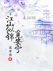 《江山似锦觅安宁》安宁姜将军云祁