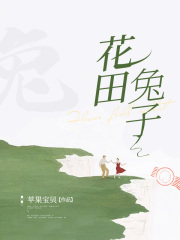 《林启明杨翠羽花田周辰》小说