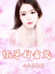 《怀孕的舍友乔丽秦念念》乔丽秦念念