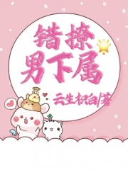 《错撩男下属》陆姜沈颂李轻江晟