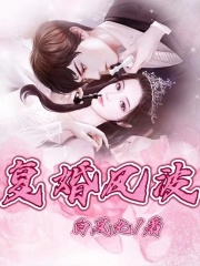《王华》小说