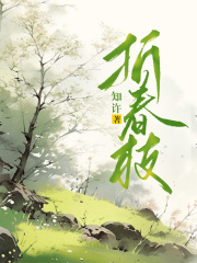《叔父沈家女皇帝叔公》小说