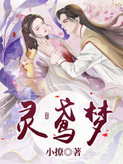 《裴珉时莺文佳佳半夏》小说
