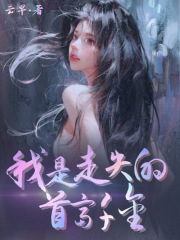 《傅容则林韵沈木木》小说