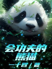 《会功夫的熊猫》王宁多竹聪聪敏敏