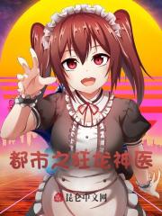 《叶飞赵婷婷李有贵李峰》小说
