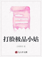 《李南天李婷若初韩素》小说