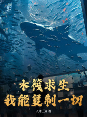 《叶林》小说