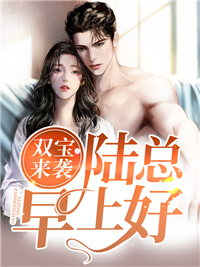 《双宝来袭：陆总，早上好陆斯年夏子晴苏染赵琳》陆斯年夏子晴苏染赵琳