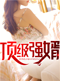 《叶凌霄苏婉晴叶灵儿朱雀》小说