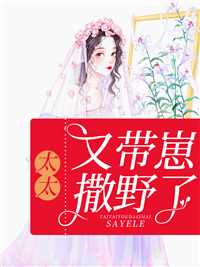 《太太又带崽撒野了》陆夜霆叶星辰叶婉婉