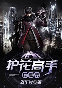 《护花高手在都市》许林水姐龙图市