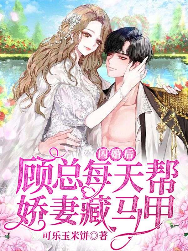 《闪婚后，顾总每天帮娇妻藏马甲》盛芳菲盛芳凌叶梦莲林芳菲