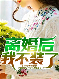 《叶翼吴嫣然吴柔》小说